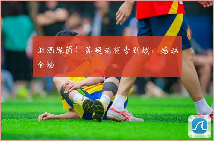 泪洒绿茵！苏超老将告别战，感动全场