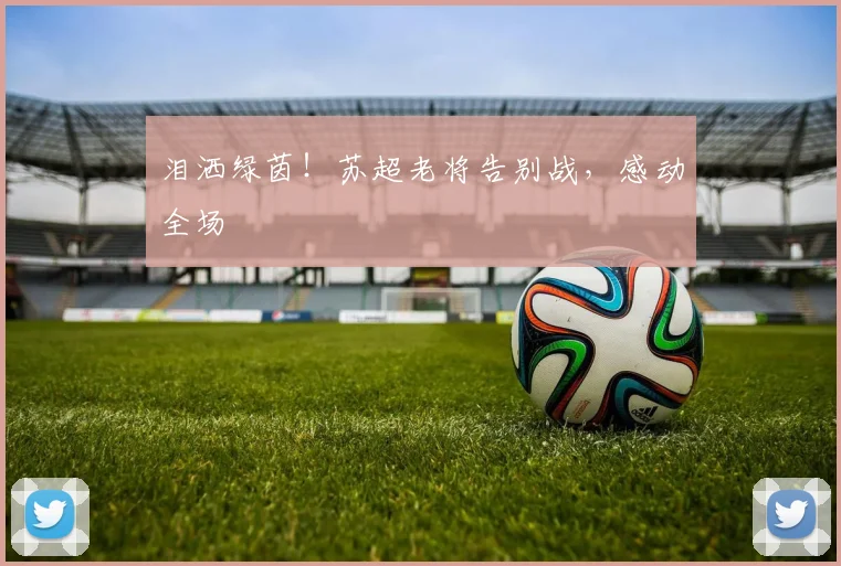 泪洒绿茵！苏超老将告别战，感动全场